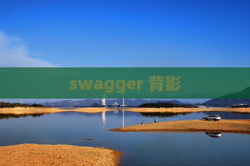 swagger 背影